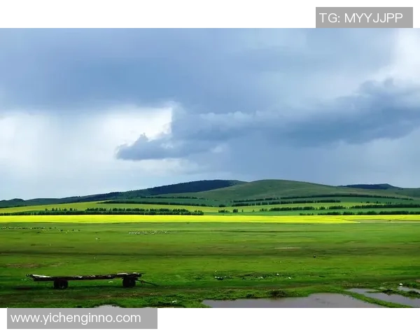 探索阿拉巴的魅力与神秘：文化历史与自然风光的完美交融之旅