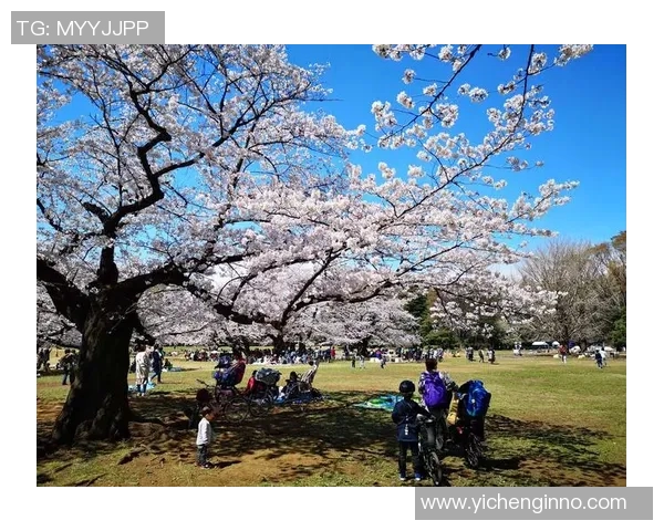 樱花队与东京队激战正酣比分结果揭晓精彩瞬间回顾